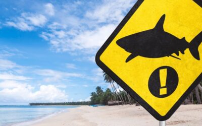 Early Warning Signs