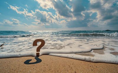 The Importance of Asking Questions