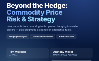 Beyond the Hedge: Commodity Price Risk & Strategy